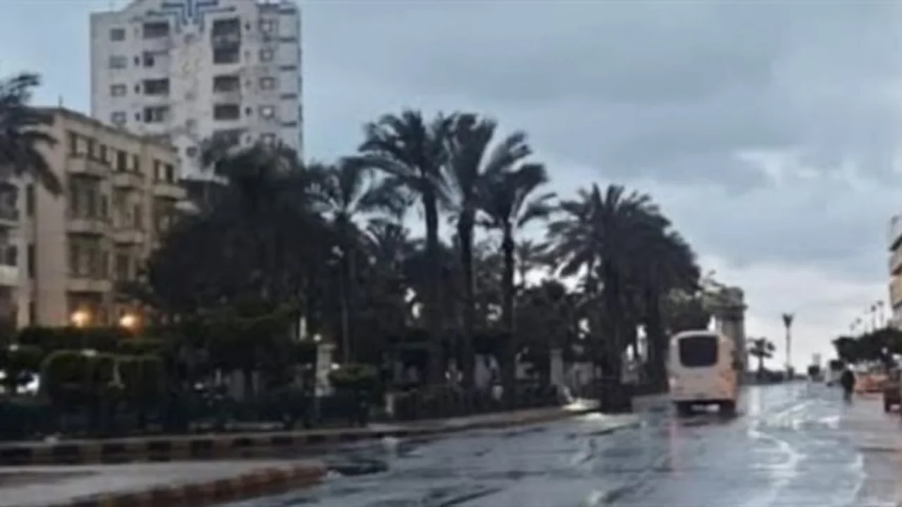 أجواء باردة تسيطر على حالة الطقس صباح غد الجمعة 6 مارس